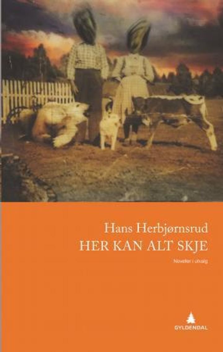 Her kan alt skje - noveller i utvalg