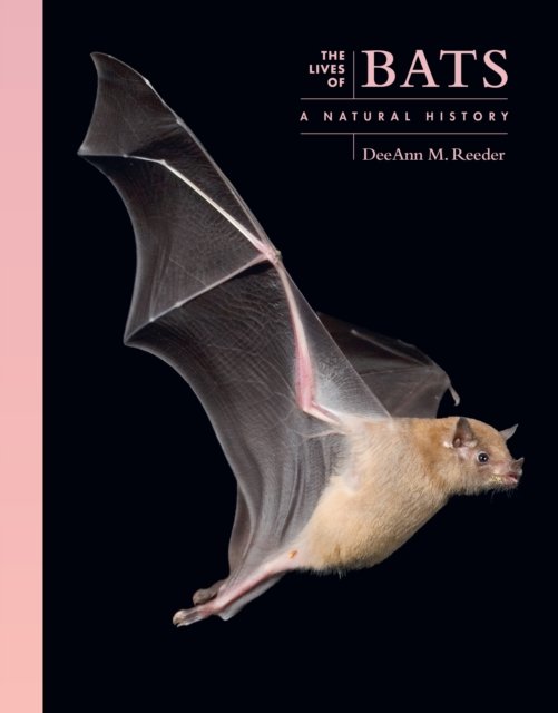 The Lives of Bats – A Natural History