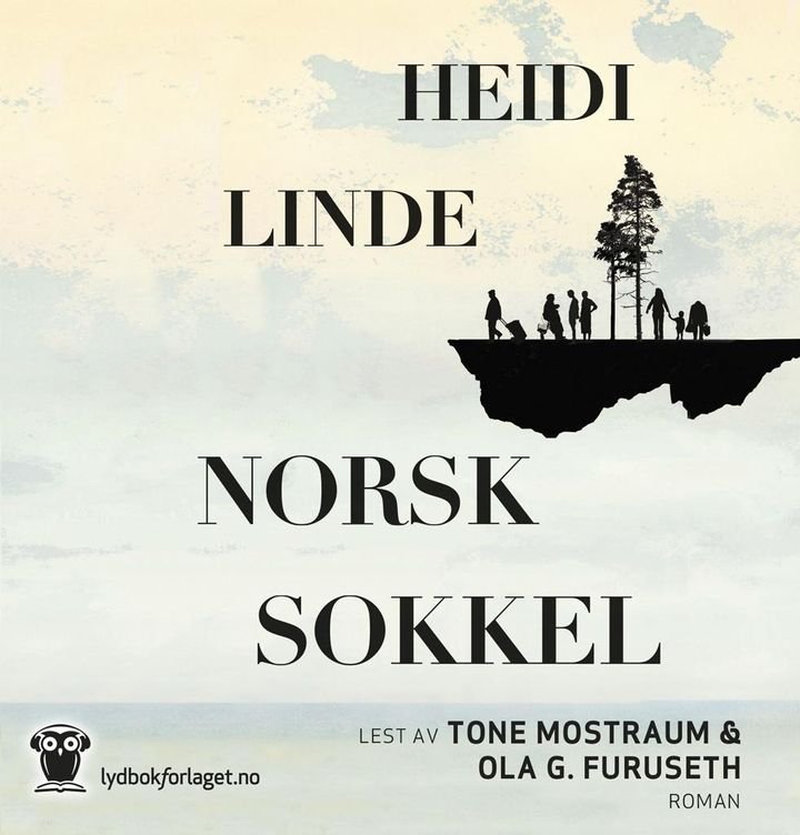 Norsk sokkel - roman
