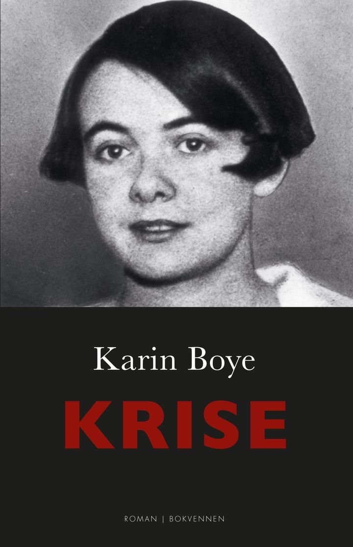 Krise - roman