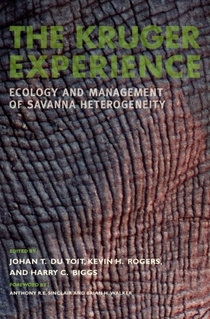 The Kruger Experience
