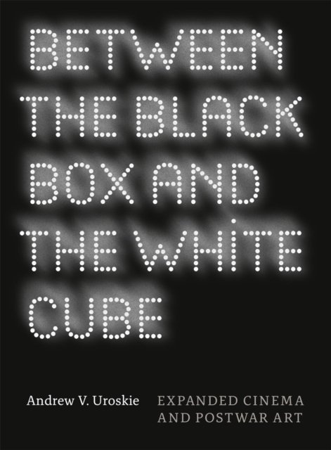Between the Black Box and the White Cube – Expanded Cinema and Postwar Art