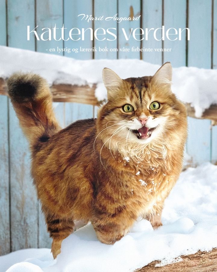 Kattenes verden