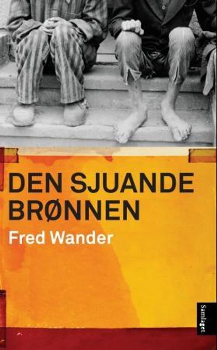 Den sjuande brønnen - roman