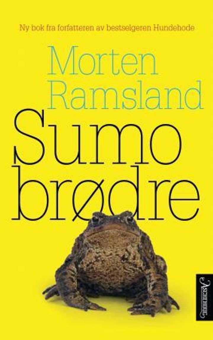 Sumobrødre - roman
