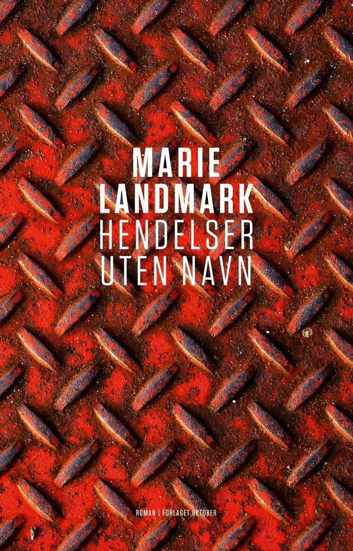 Hendelser uten navn - roman