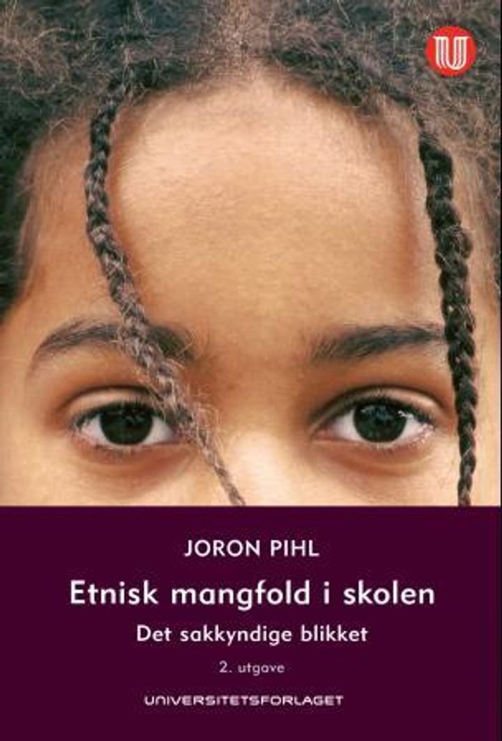 Etnisk mangfold i skolen - det sakkyndige blikket