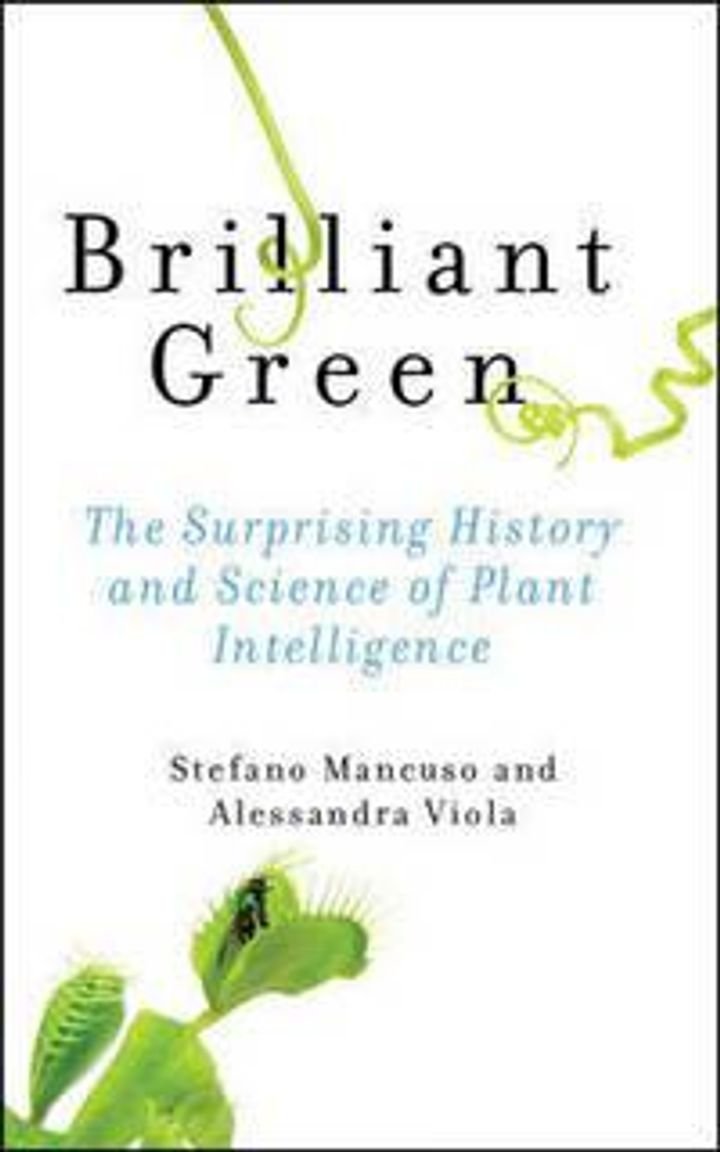 Brilliant green