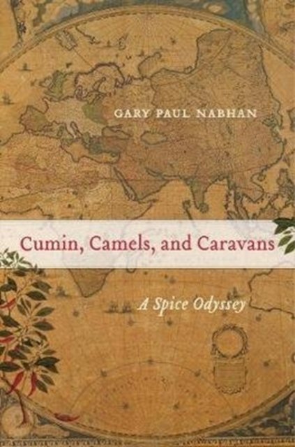Cumin, Camels, and Caravans – A Spice Odyssey