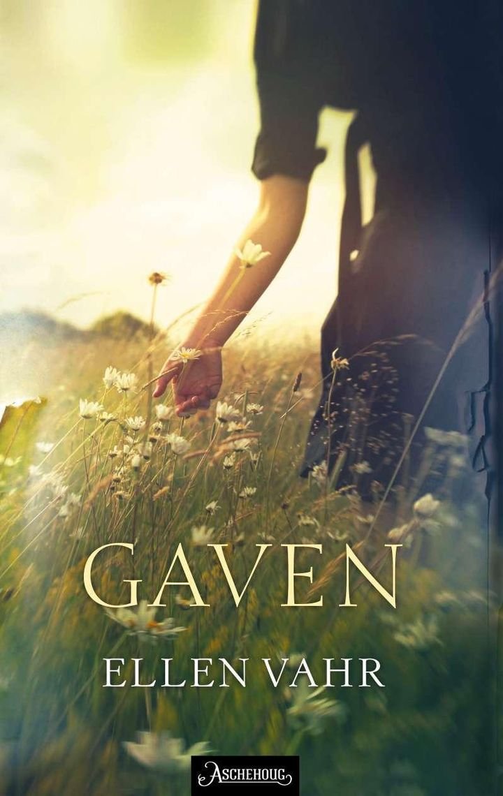 Gaven - roman
