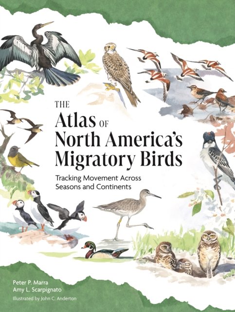 The Atlas of North America’s Migratory Birds