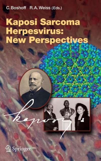 Kaposi Sarcoma Herpesvirus: New Perspectives