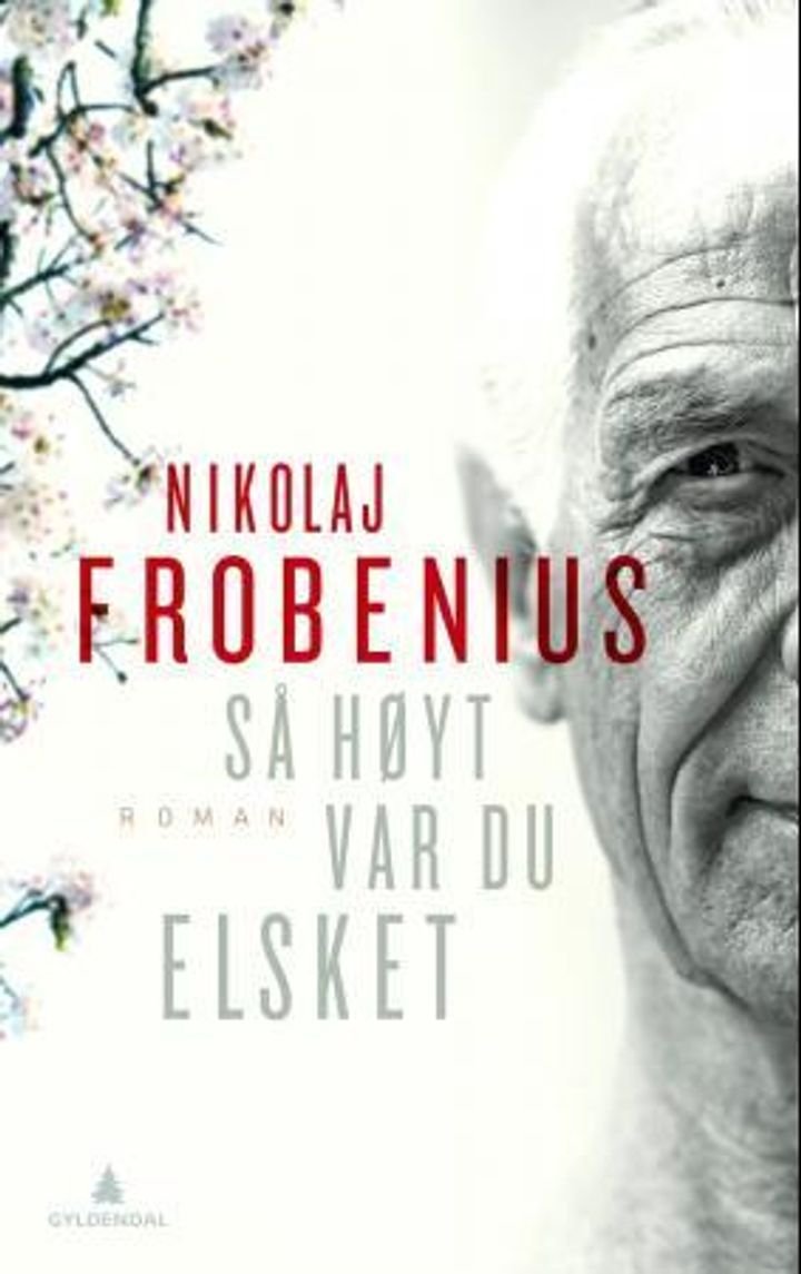 Så høyt var du elsket - roman