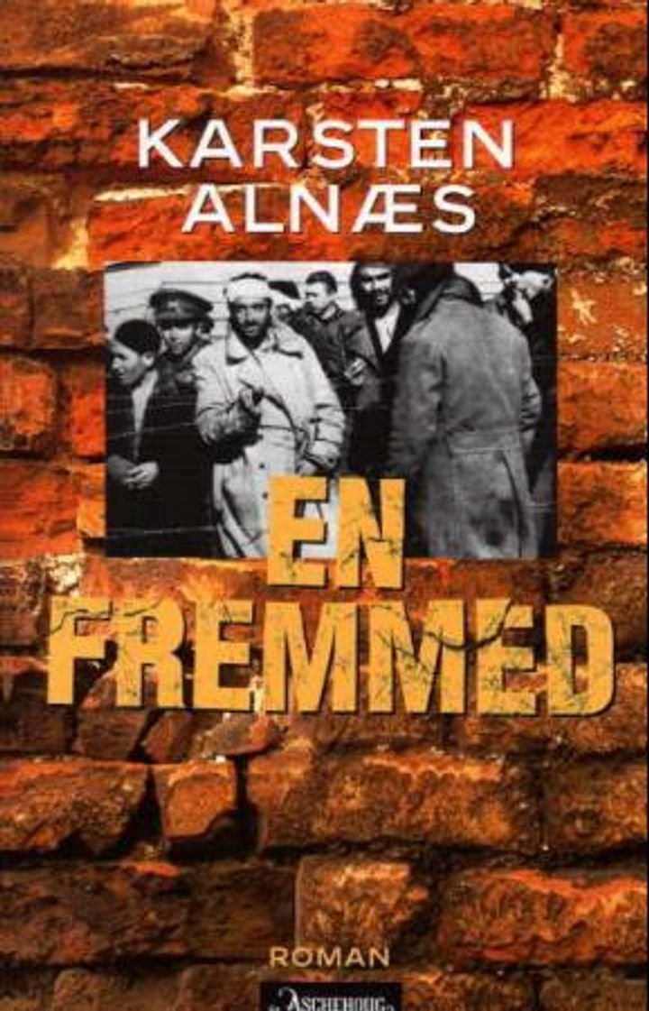 En fremmed - roman