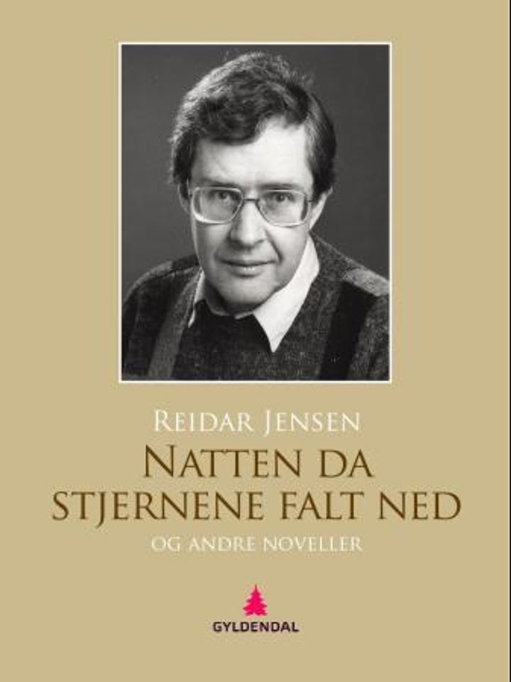 Natten da stjernene falt ned og andre noveller