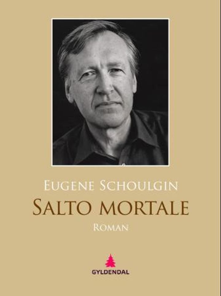 Salto mortale - roman