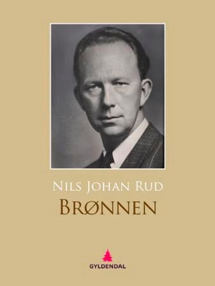 Brønnen - roman