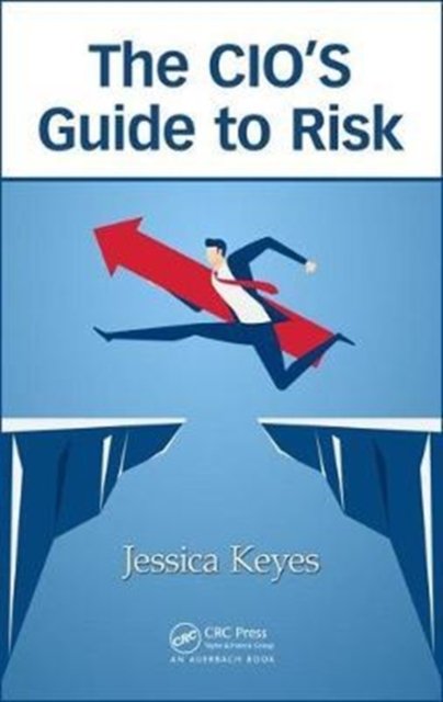 The CIO''s Guide to Risk