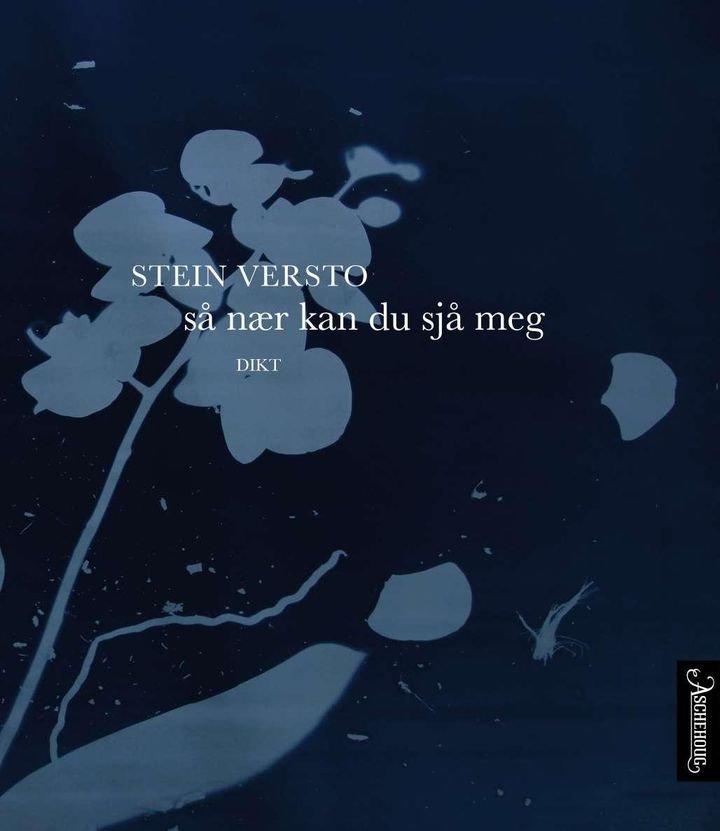 Så nær kan du sjå meg - dikt