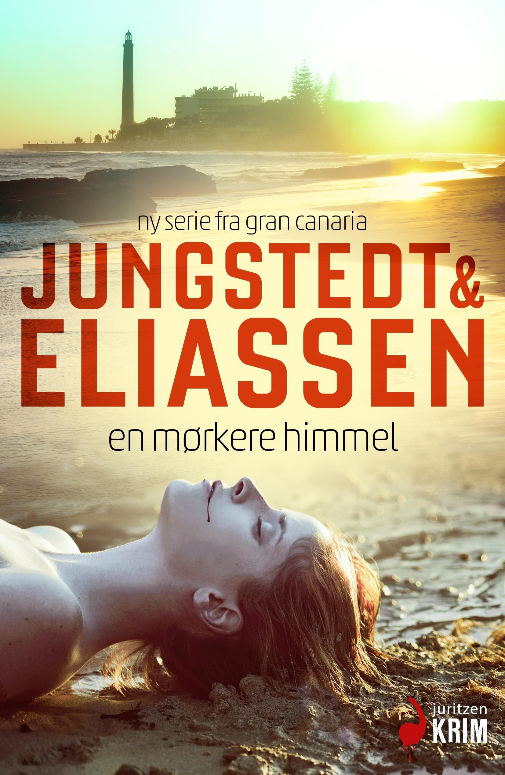 En mørkere himmel - kriminalroman