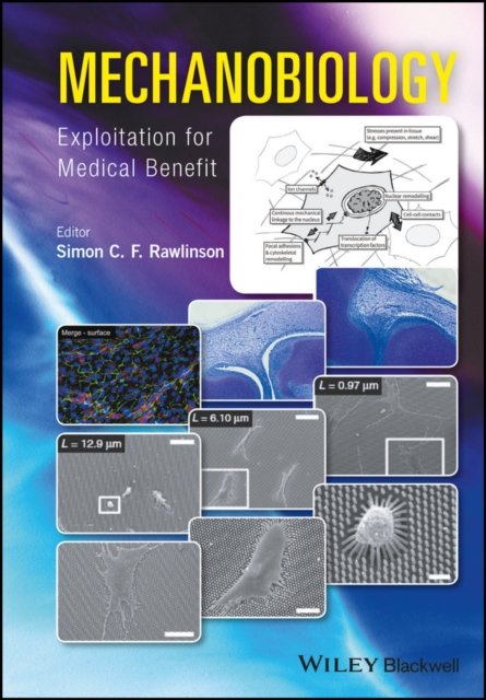 Mechanobiology – Exploitation for Medical Benefit