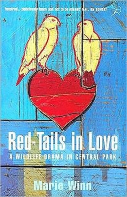 Red-tails in Love