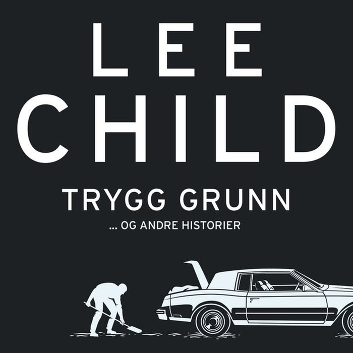 Trygg grunn