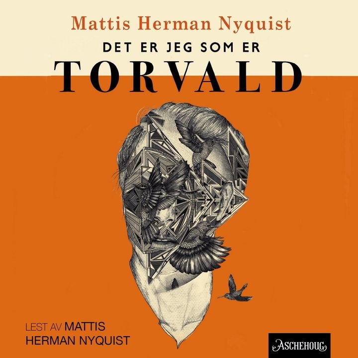 Det er jeg som er Torvald - roman