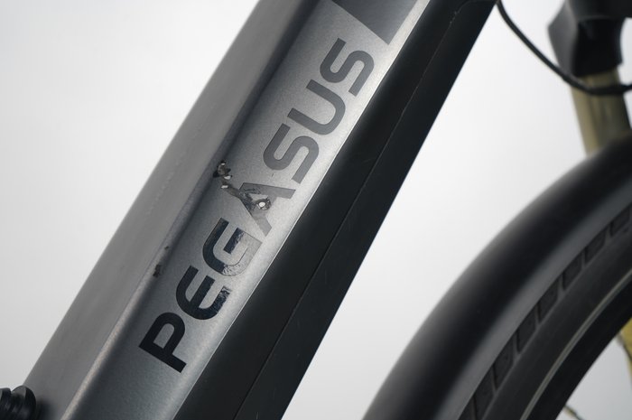 Pegasus Strong EVO 10