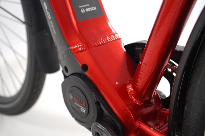 PEGASUS Premio EVO 10 Lite