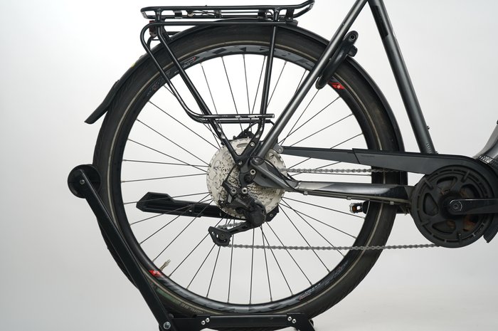 Pegasus Strong EVO 10