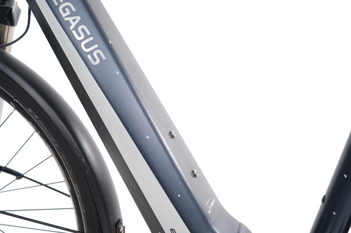 PEGASUS Premio EVO 10 Lite