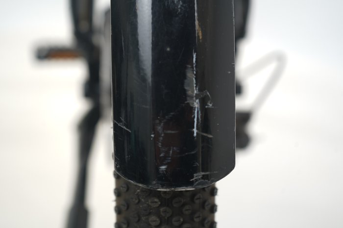 Raleigh Dundee 12