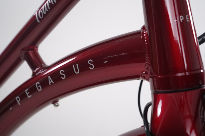 PEGASUS Tourina E7R