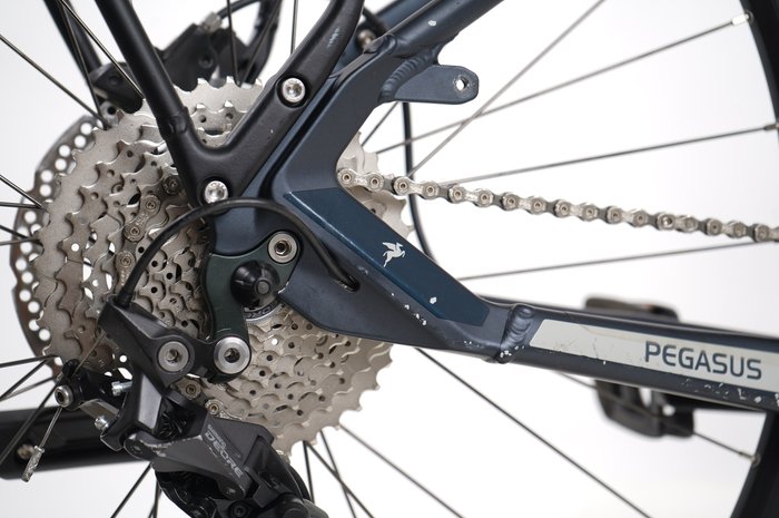 PEGASUS Premio EVO 10 Lite