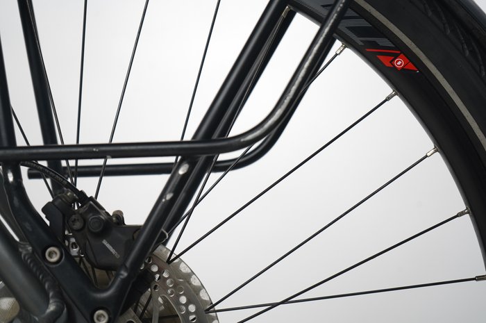 Pegasus Strong EVO 10