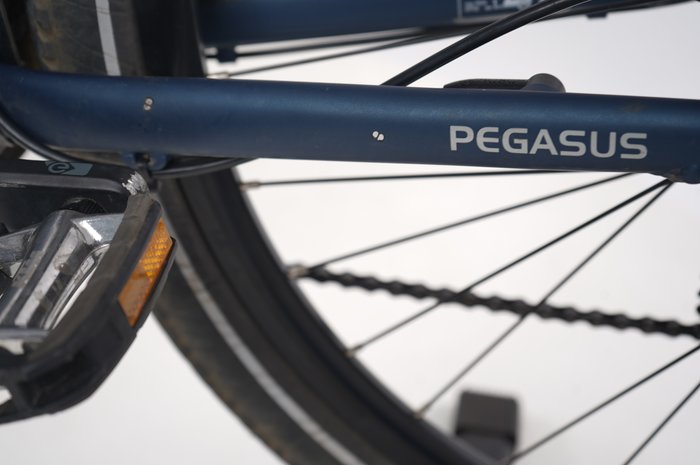 PEGASUS Solero E8 Plus