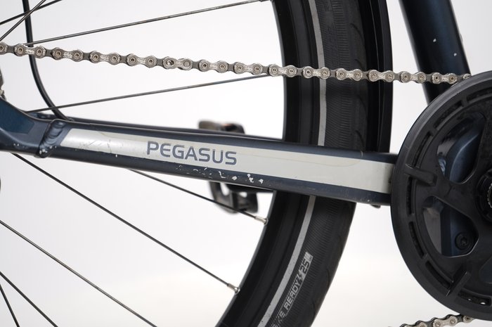 PEGASUS Premio EVO 10 Lite