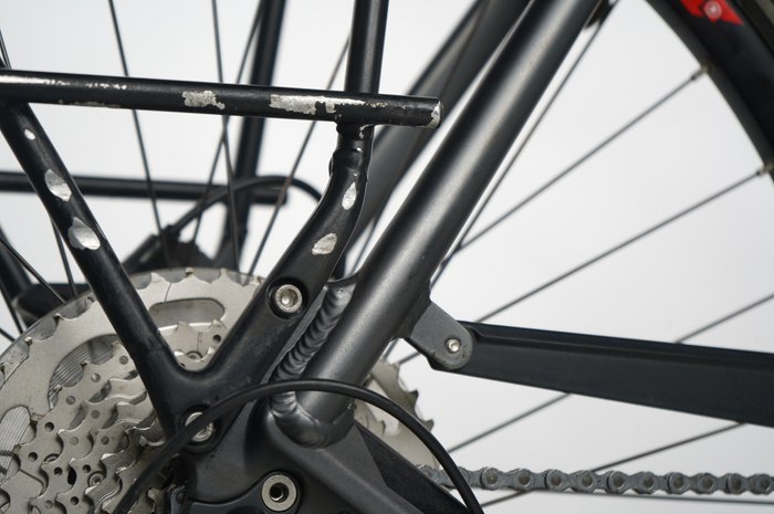 Pegasus Strong EVO 10