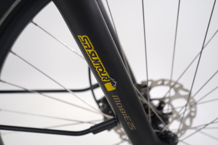 Bergamont E-Horizon FS Edition