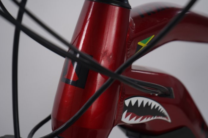 Haibike AllTrail 5 29