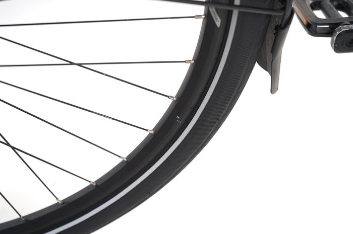 PEGASUS Premio EVO 10 Lite