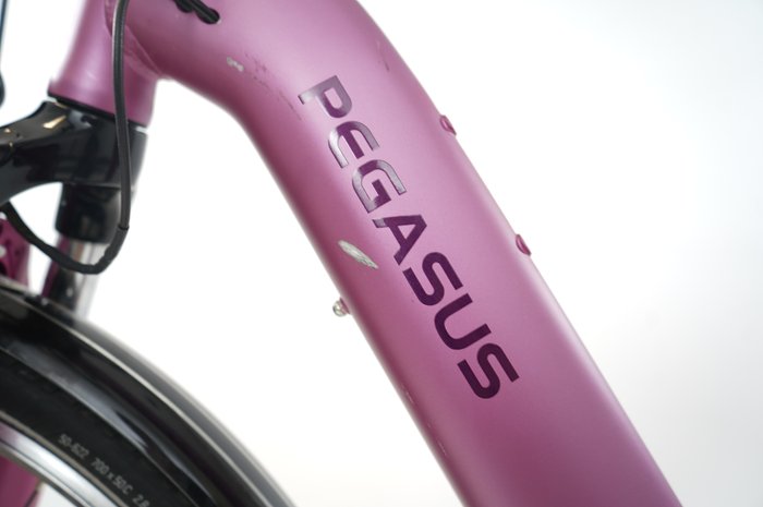 PEGASUS Solero E8R Lite