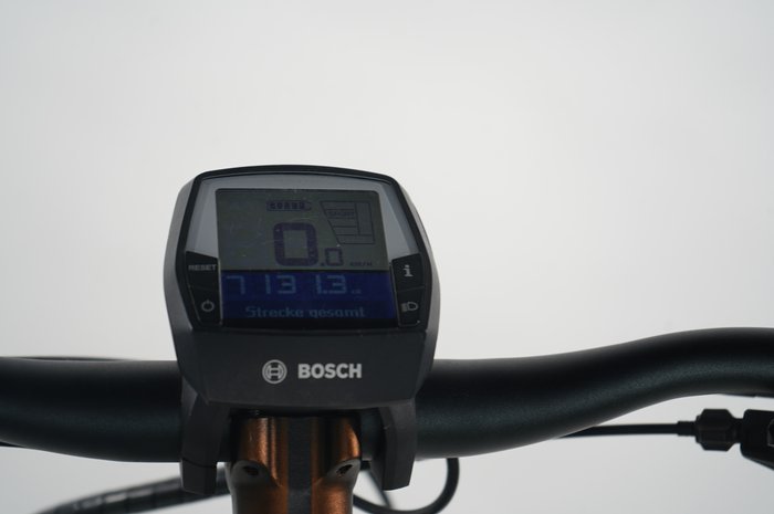 Pegasus Strong EVO 10