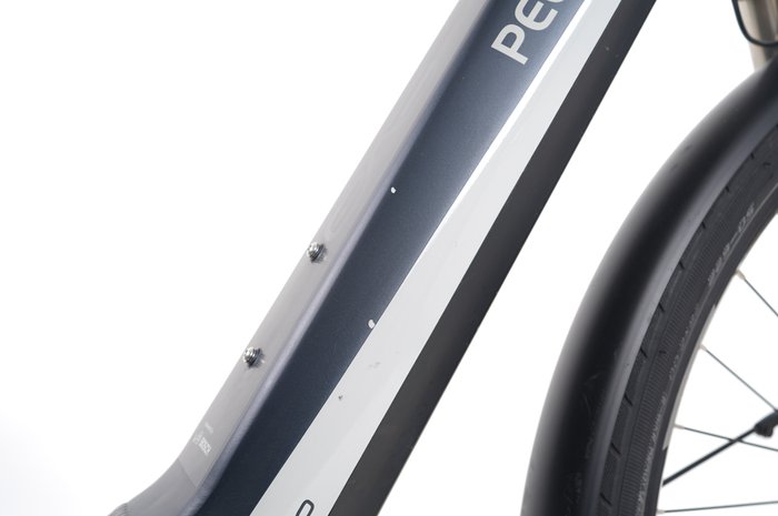 PEGASUS Premio EVO 10 Lite
