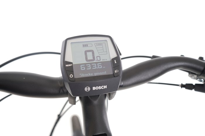 Raleigh Bristol Premium