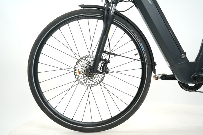 Raleigh Stanton 10