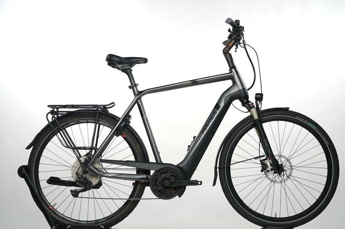 Pegasus Strong EVO 10