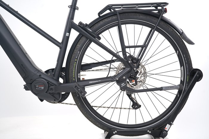 PEGASUS Premio EVO 10 Lite