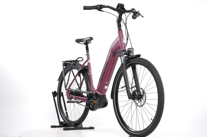 RALEIGH Bristol 5